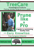 TreeCare’s video, Prune Like a Pro