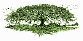 "Tree of Reverie" Artwork by Ted Baumgart