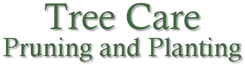 Tree care, planting and pruning