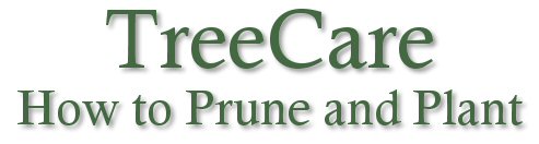 Tree care, planting and pruning